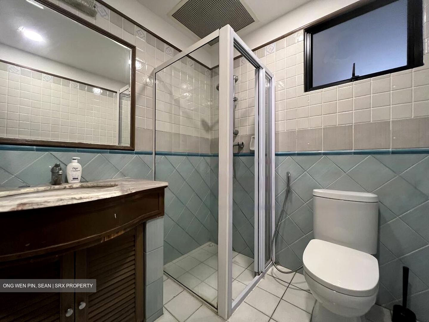 Dover Parkview (D5), Condominium #570644191